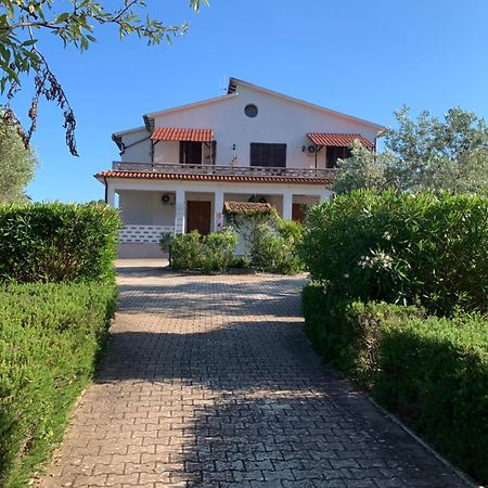 Villa Conti Residence 라코나 외부 사진